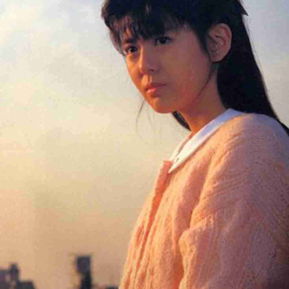 「南野陽子」のアーティスト写真