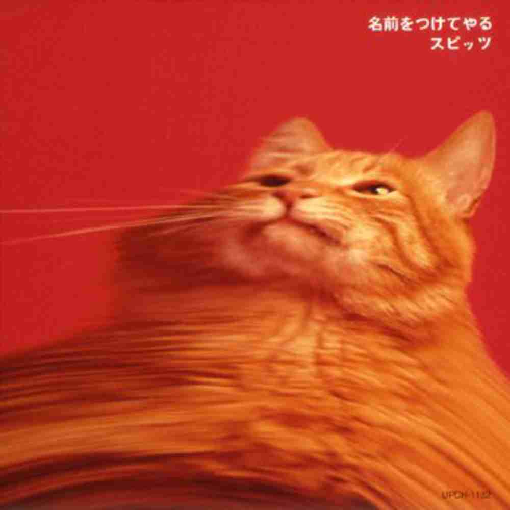 「ウサギのバイク - スピッツ」のジャケット