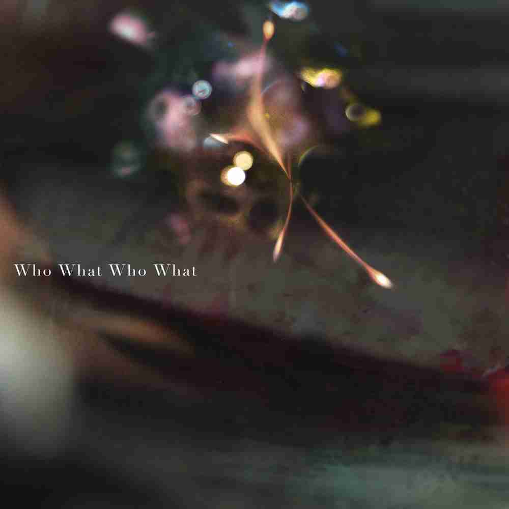 「Who What Who What - 凛として時雨」のジャケット