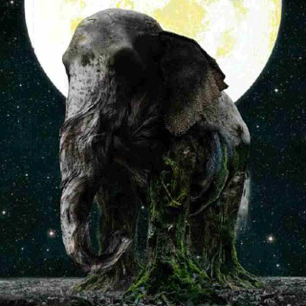 LUV PARADE - MISIA のコード  コードスケッチ