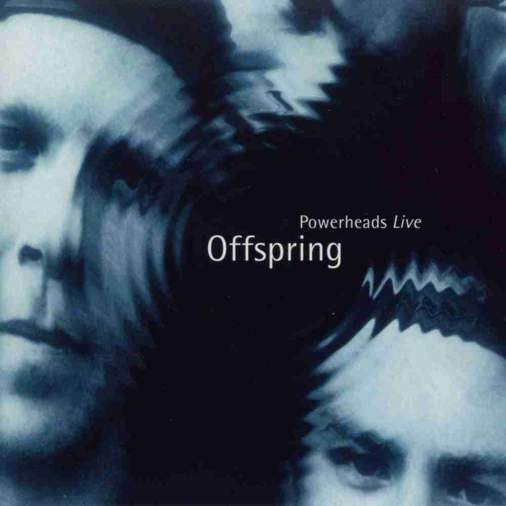 「What Happened To You? - The Offspring」のジャケット