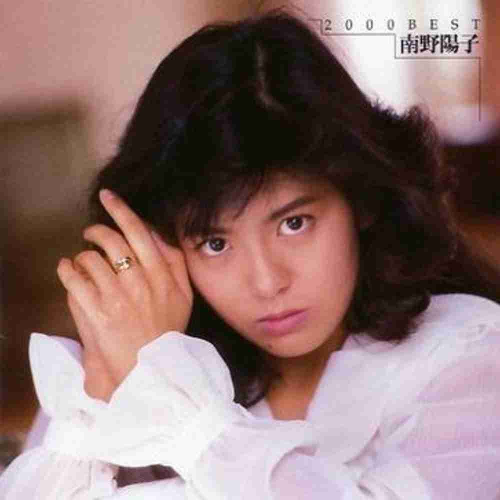 「吐息でネット - 南野陽子」のジャケット