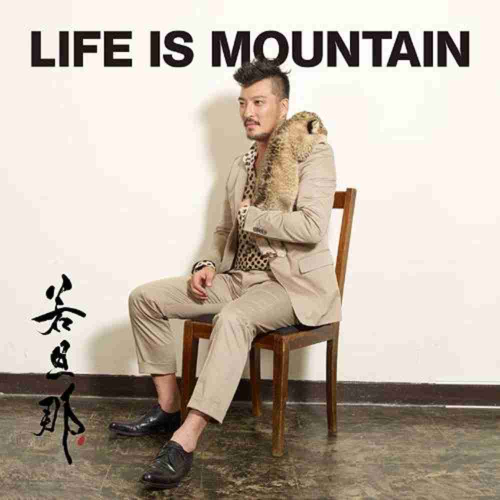 「LIFE IS MOUNTAIN - 若旦那」のジャケット