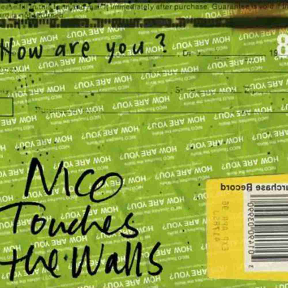 「梨の花 - NICO Touches the Walls」のジャケット