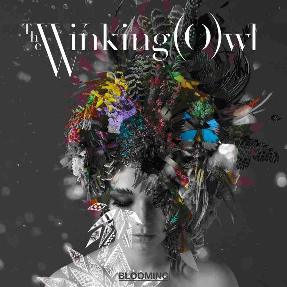 「Open Up My Heart - The Winking Owl」のジャケット