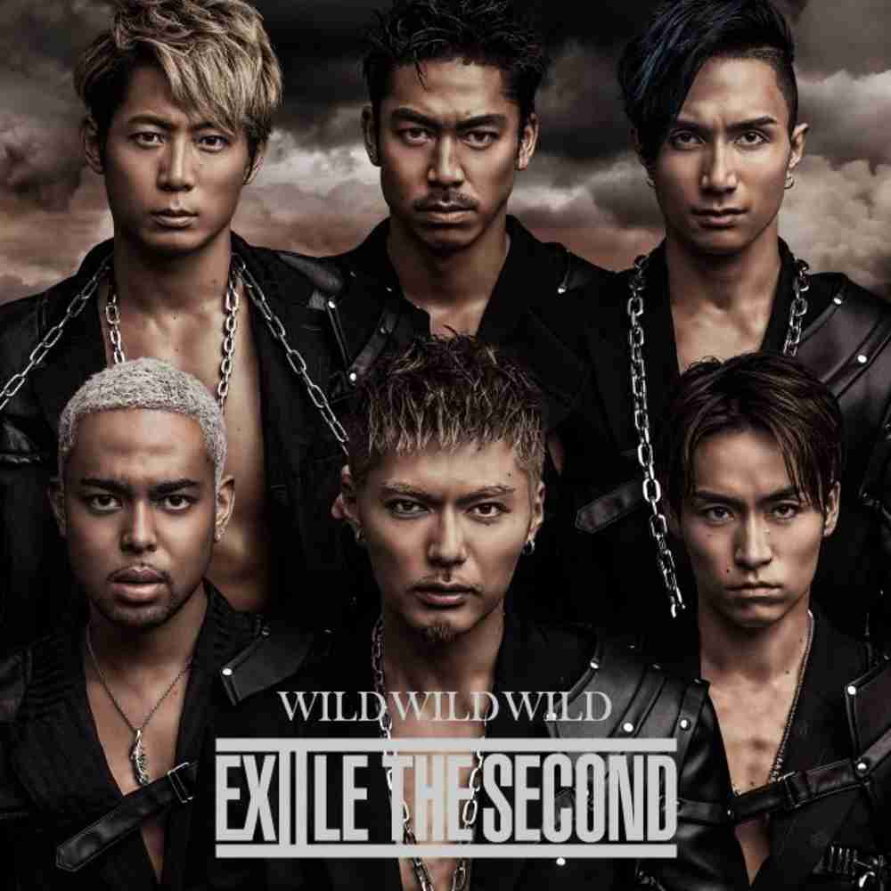 「WILD WILD WILD - EXILE THE SECOND」のジャケット