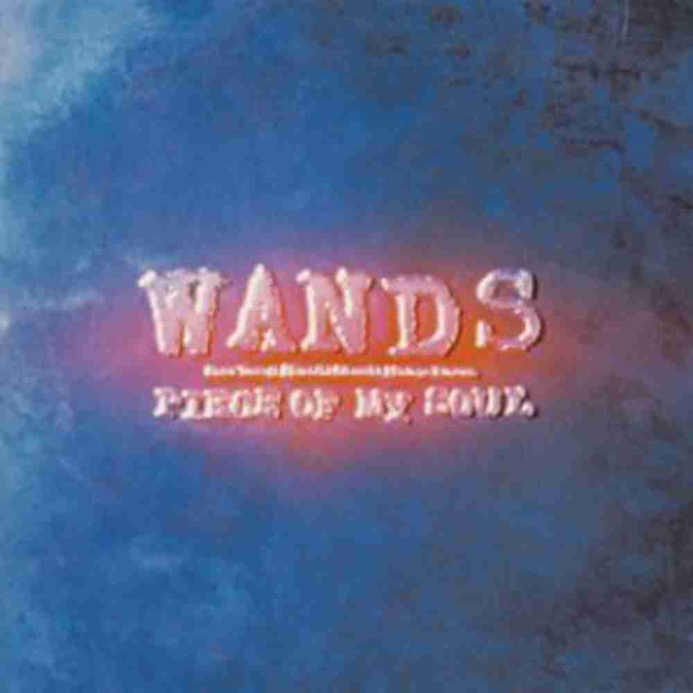 「DON'T TRY SO HARD - WANDS」のジャケット